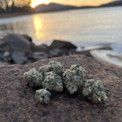 Zoap Flower